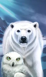 Majestic Winter - Avalanche
